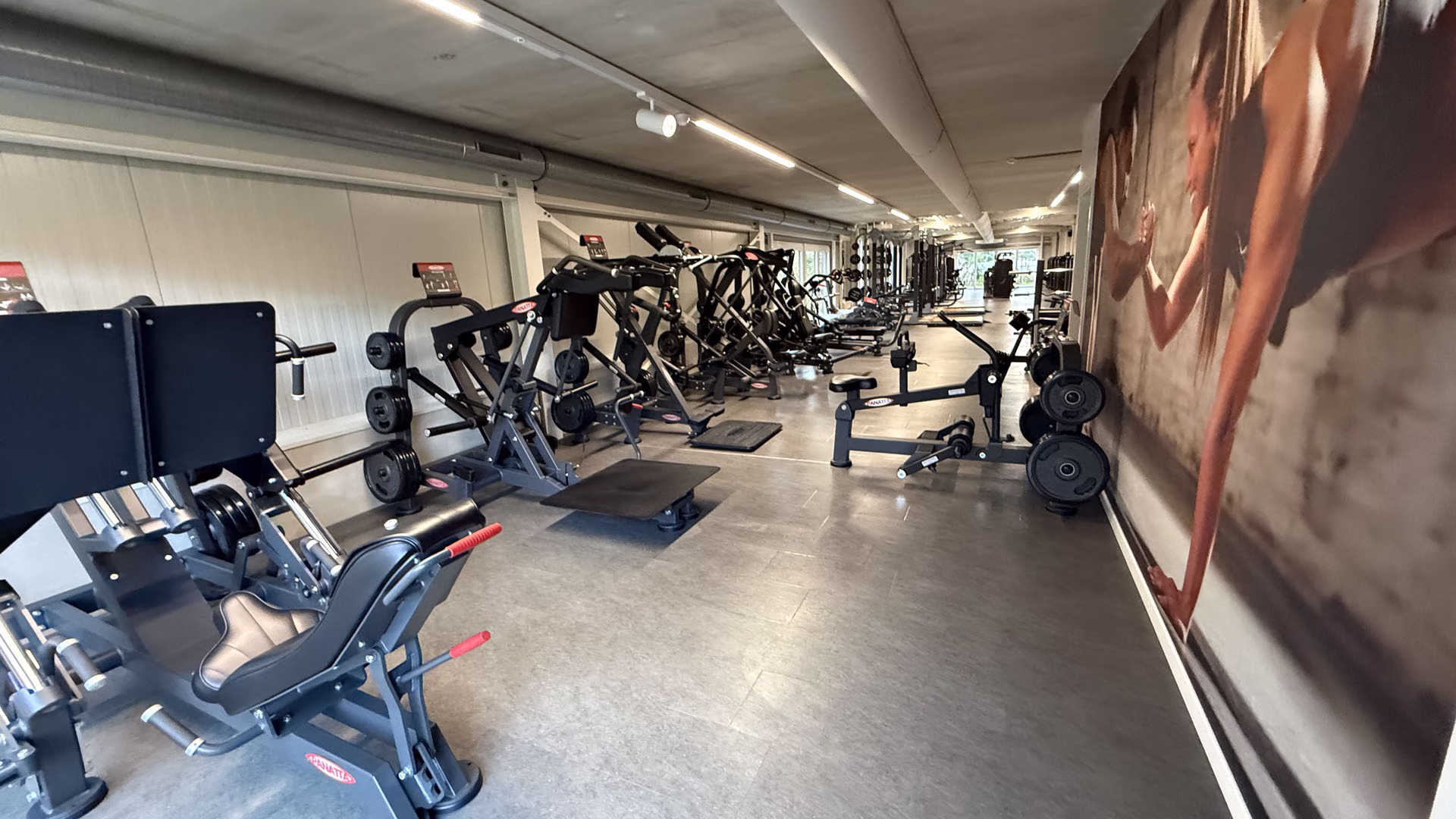 Panatta Free-Weight-Bereich im TIME/OUT